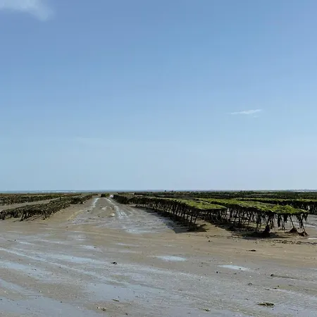 Dom wakacyjny La Bourrine *