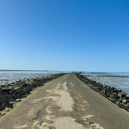 Dom wakacyjny La Bourrine *