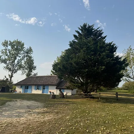 La Bourrine Le Perrier