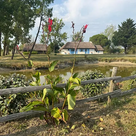 La Bourrine Nyaraló *